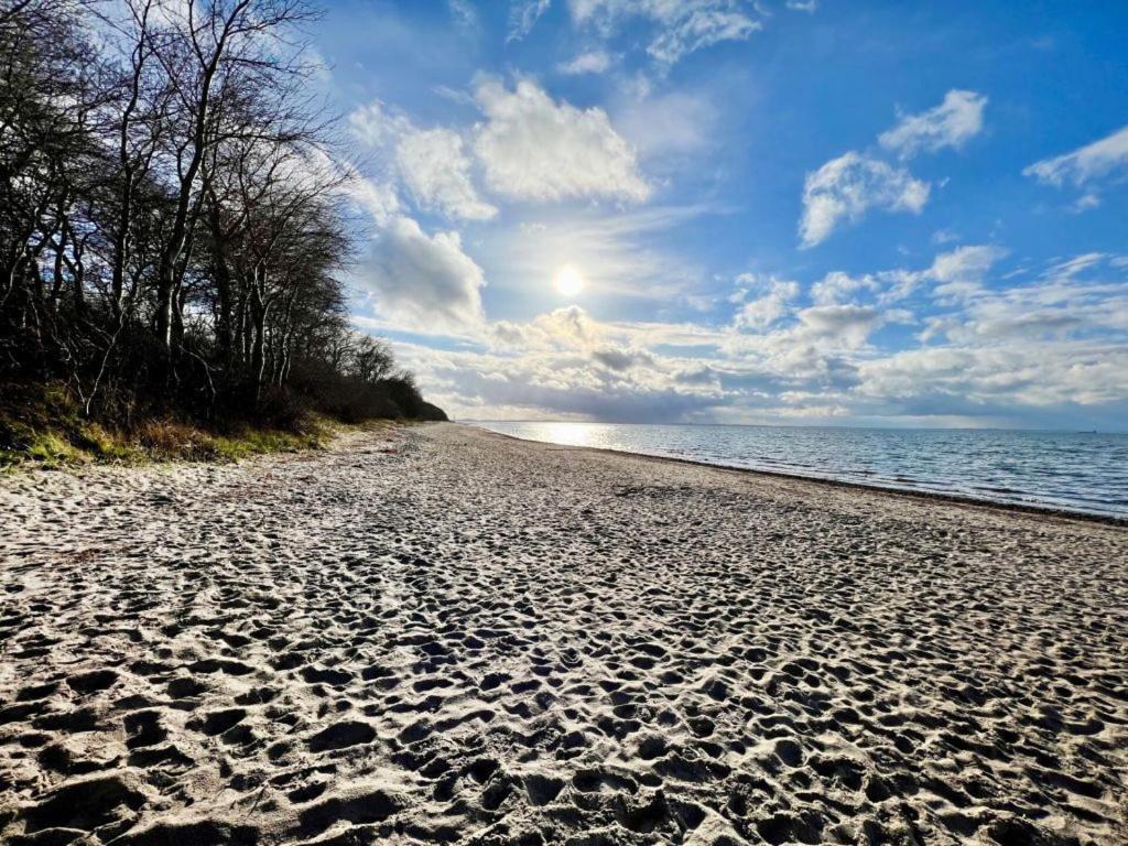 "Sonnenliebe" Ferienhaus Groß Schwansee Εξωτερικό φωτογραφία